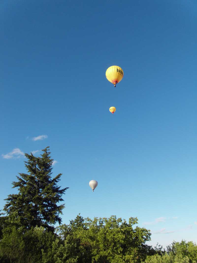 SDC10322