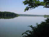 172-7238_IMG.JPG (34288 bytes)
