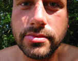 174-7403_IMG.JPG (37654 bytes)